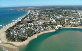 Alby'S - Cotton Tree